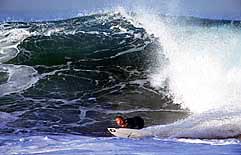 Largest Encyclopedia of Surfing