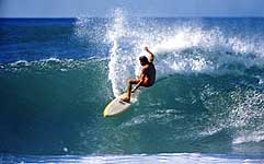 Largest Encyclopedia of Surfing