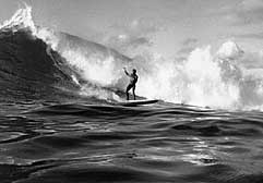 Largest Encyclopedia of Surfing