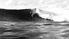 Largest Encyclopedia of Surfing