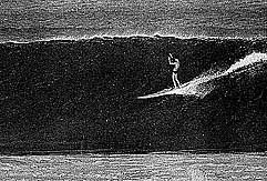 Largest Encyclopedia of Surfing