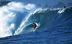 Largest Encyclopedia of Surfing