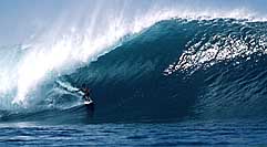Largest Encyclopedia of Surfing