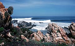 Largest Encyclopedia of Surfing