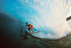 Largest Encyclopedia of Surfing