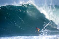 Largest Encyclopedia of Surfing