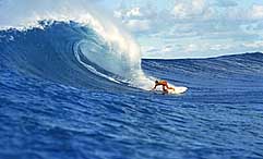 Largest Encyclopedia of Surfing