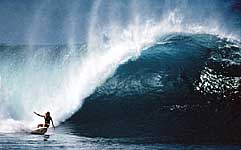 Largest Encyclopedia of Surfing