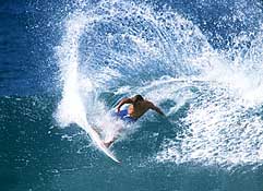 Largest Encyclopedia of Surfing