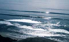 Largest Encyclopedia of Surfing