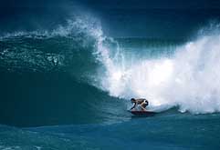 Largest Encyclopedia of Surfing