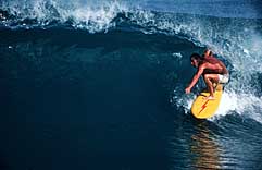 Largest Encyclopedia of Surfing
