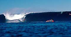 Largest Encyclopedia of Surfing