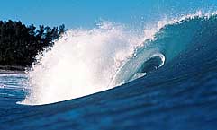 Largest Encyclopedia of Surfing