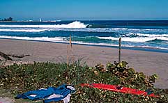 Largest Encyclopedia of Surfing