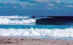 Largest Encyclopedia of Surfing