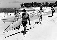 Largest Encyclopedia of Surfing