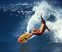 Largest Encyclopedia of Surfing