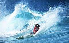 Largest Encyclopedia of Surfing