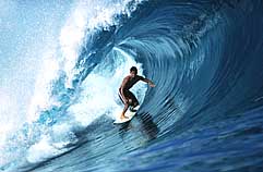 Largest Encyclopedia of Surfing