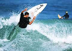 Largest Encyclopedia of Surfing