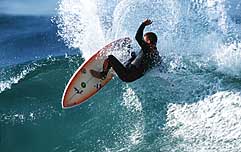 Largest Encyclopedia of Surfing