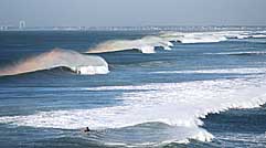 Largest Encyclopedia of Surfing