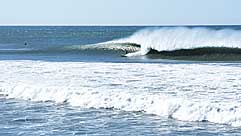 Largest Encyclopedia of Surfing