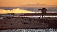 Largest Encyclopedia of Surfing