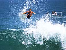 Largest Encyclopedia of Surfing