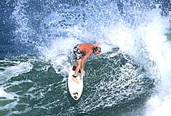 Largest Encyclopedia of Surfing