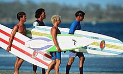 Largest Encyclopedia of Surfing