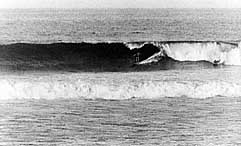 Largest Encyclopedia of Surfing