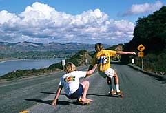 Largest Encyclopedia of Surfing