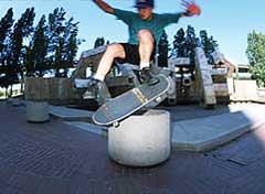 Largest Encyclopedia of Surfing