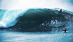 Largest Encyclopedia of Surfing
