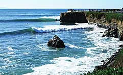 Largest Encyclopedia of Surfing