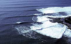 Largest Encyclopedia of Surfing
