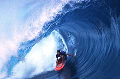 Largest Encyclopedia of Surfing