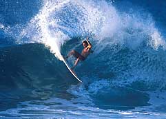 Largest Encyclopedia of Surfing
