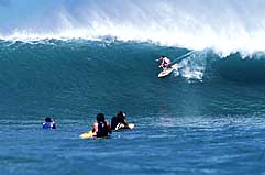 Largest Encyclopedia of Surfing