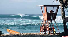 Largest Encyclopedia of Surfing