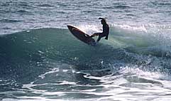 Largest Encyclopedia of Surfing