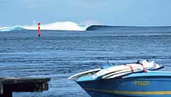 Largest Encyclopedia of Surfing