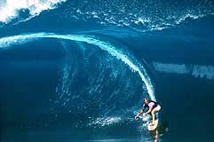 Largest Encyclopedia of Surfing