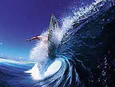 Largest Encyclopedia of Surfing