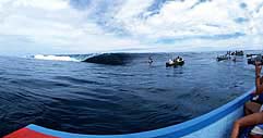 Largest Encyclopedia of Surfing