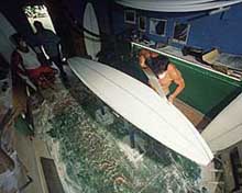 Largest Encyclopedia of Surfing
