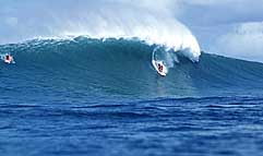 Largest Encyclopedia of Surfing