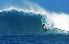 Largest Encyclopedia of Surfing